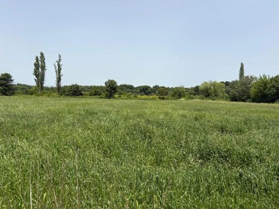Продается Земельный Участок Площадью 2100 М2 В Окчуларе, Мармарис.