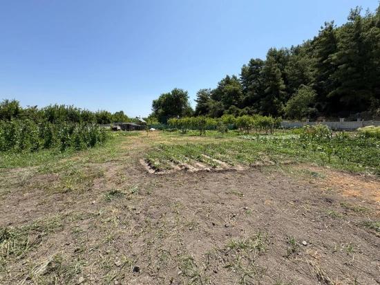 Отдельно Стоящий Деревянный Дом Площадью 120 М² На Участке Площадью 2500 М² В Районе Дальян Карадаг.