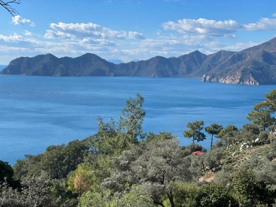 Чандыр 20.000m2 2b С Полным Видом На Море На Продажу
