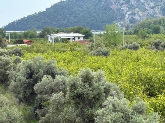 В Чандыре Земельный Участок С Видом На Море И Озеро 1.721m2 Для Продажи