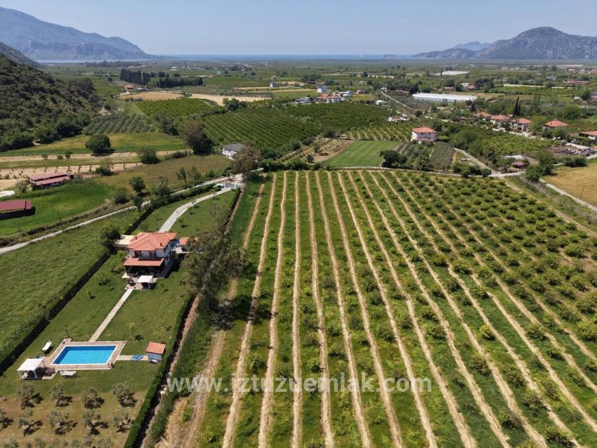 Dalyan Merkeze Yakın 5100m2 Satılık Tarla