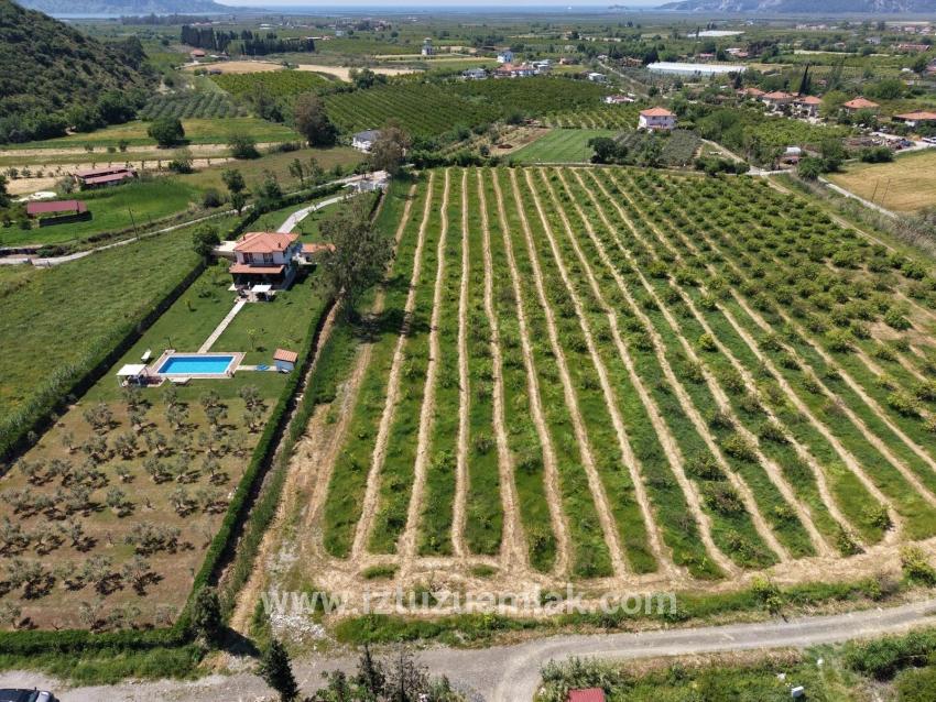 Dalyan Merkeze Yakın 5100m2 Satılık Tarla