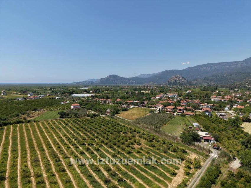 Dalyan Merkeze Yakın 5100m2 Satılık Tarla