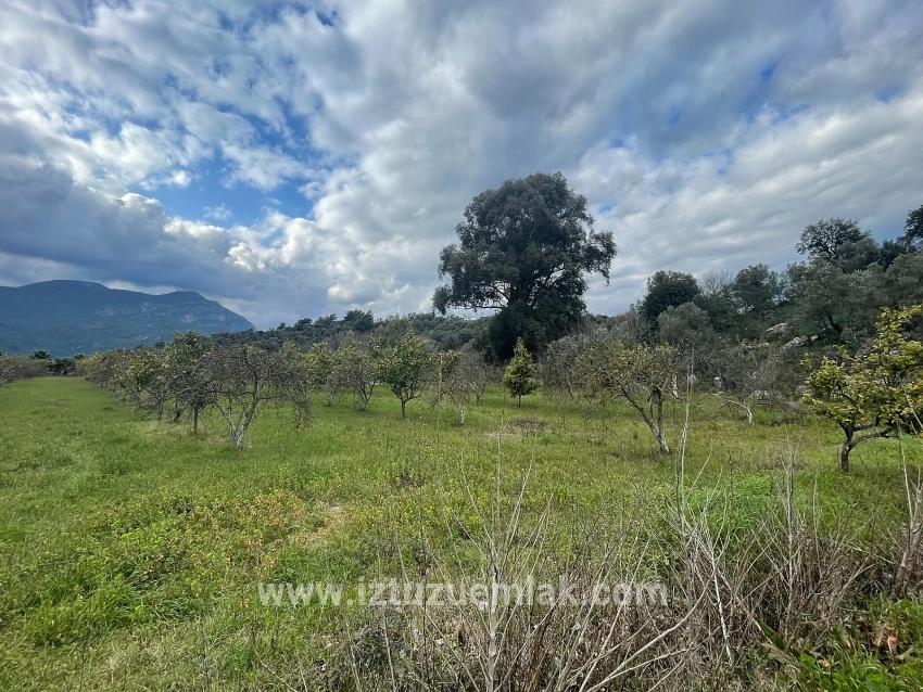 Dalyan'da 11.000m2 Arsa İçerisinde Satılık Butil Otel Ve Bungalov