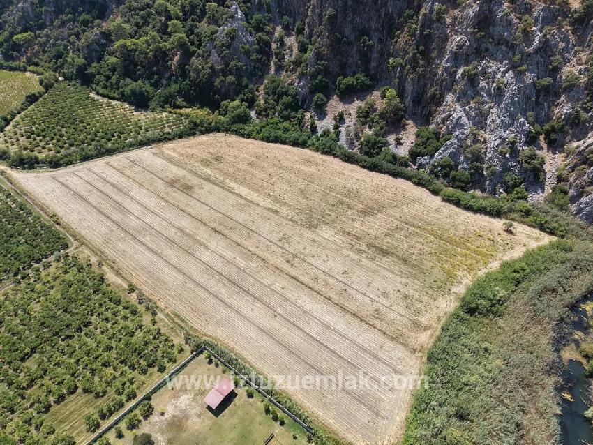 Ortaca Dalyan Mah. Satılık Tarla - Tarla İmar Durumlu - 20.786 m²