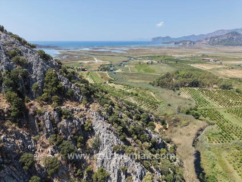 Ortaca Dalyan Mah. Satılık Tarla - Tarla İmar Durumlu - 20.786 m²