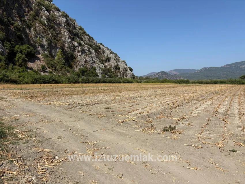 Ortaca Dalyan Mah. Satılık Tarla - Tarla İmar Durumlu - 20.786 m²