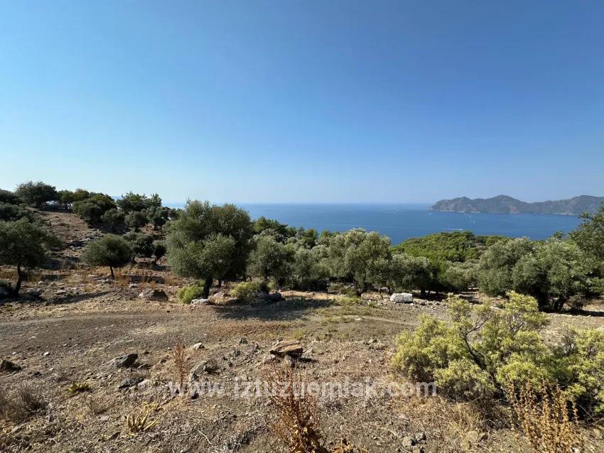 Köyceğiz Çandır Mah. Satılık Tarla - Tarla İmar Durumlu - 21.000 m²