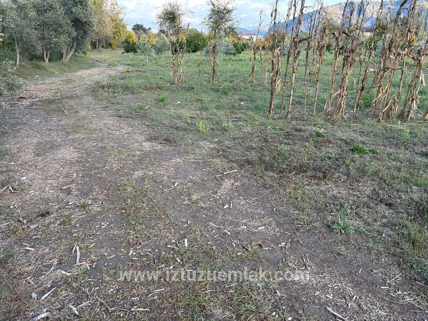 Dalyan'da 7.450m2 %5 İmarlı Satılık Arsa