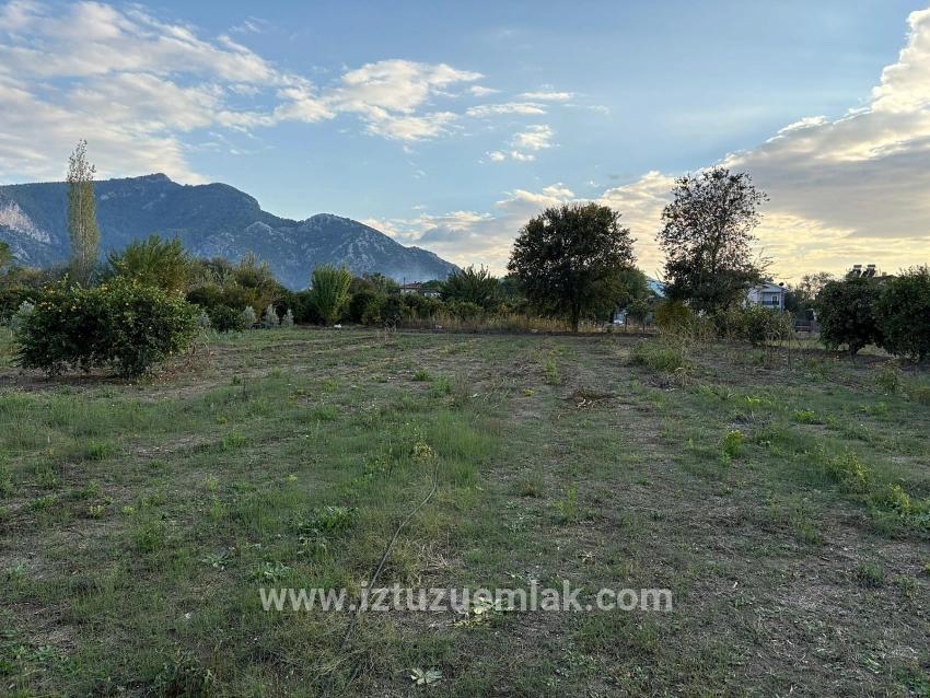 Dalyan'da 7.450m2 %5 İmarlı Satılık Arsa
