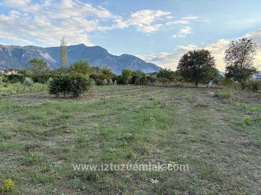 Dalyan'da 7.450m2 %5 İmarlı Satılık Arsa