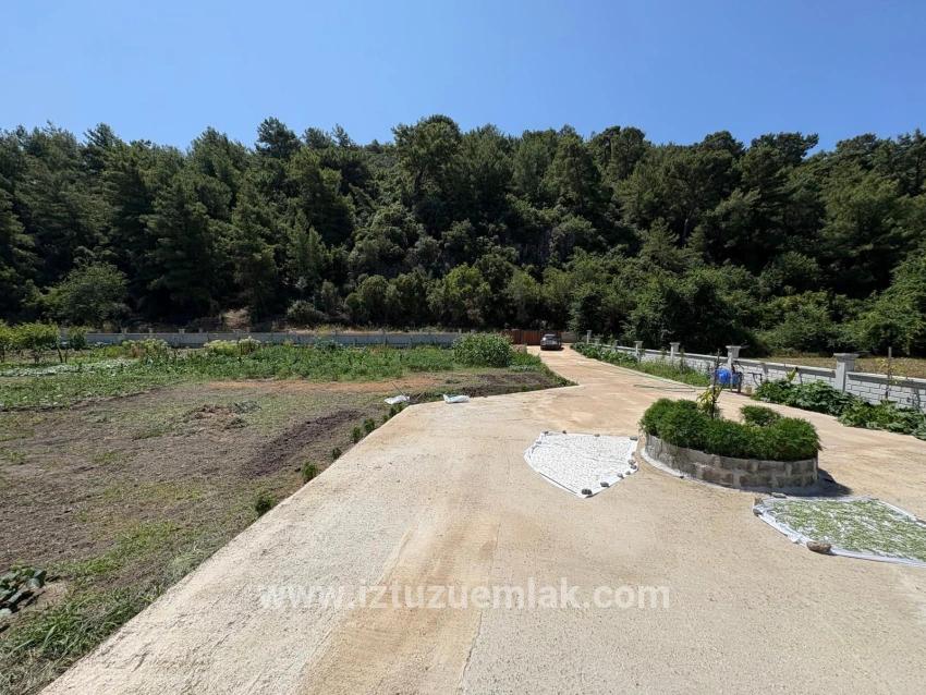 Dalyan Karadağ Mevkiinde 2500m2 Tarla İçerisinde 120m2 Müstakil Ahşap Ev
