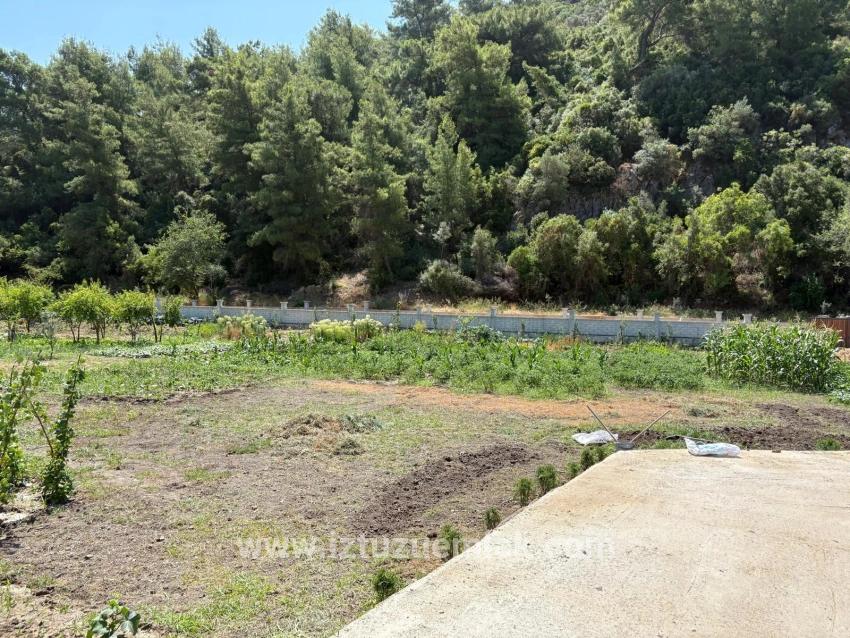 Dalyan Karadağ Mevkiinde 2500m2 Tarla İçerisinde 120m2 Müstakil Ahşap Ev