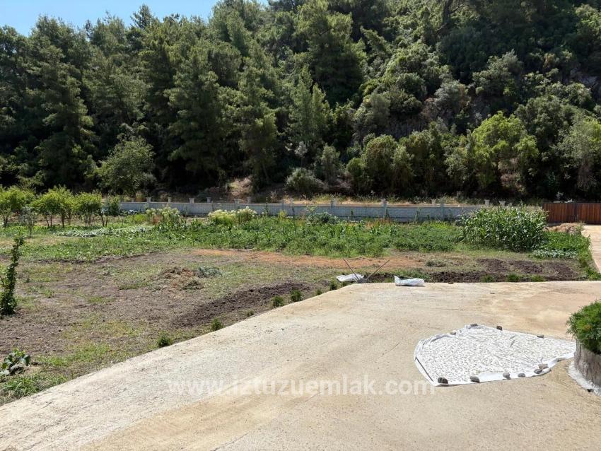 Dalyan Karadağ Mevkiinde 2500m2 Tarla İçerisinde 120m2 Müstakil Ahşap Ev