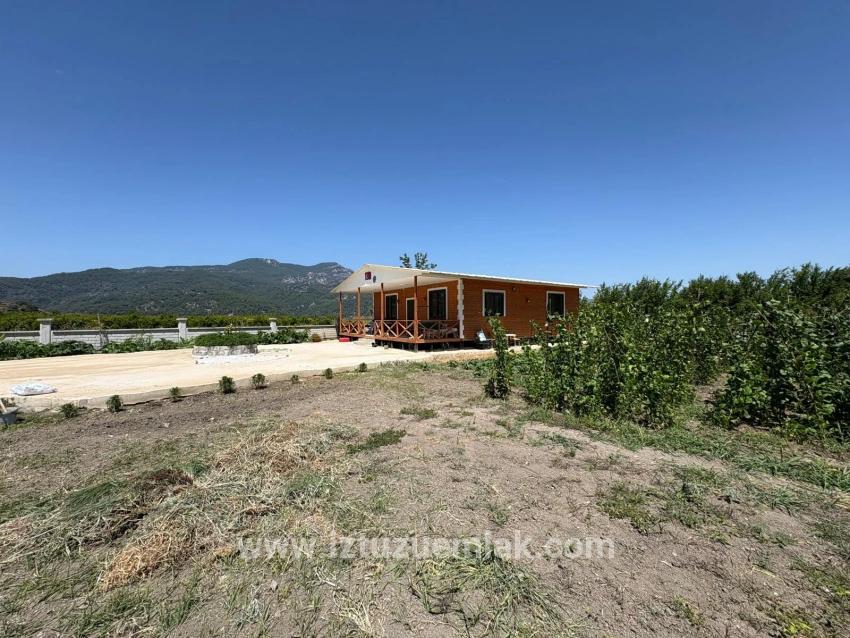 Dalyan Karadağ Mevkiinde 2500m2 Tarla İçerisinde 120m2 Müstakil Ahşap Ev
