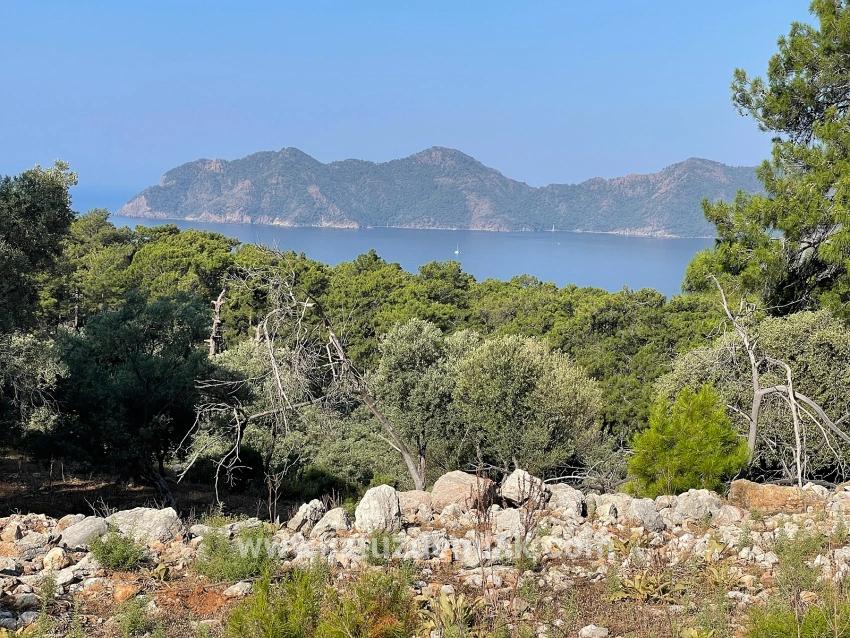 Ekincik Çandır Arasın'da Deniz Manzaralı Kelepir Emlak Satılık Arsa