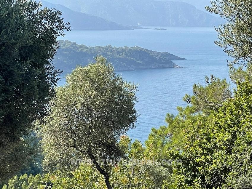 Köyceğiz Çandır Mah. Satılık Tarla - Konut İmar Durumlu - 10.481 m²