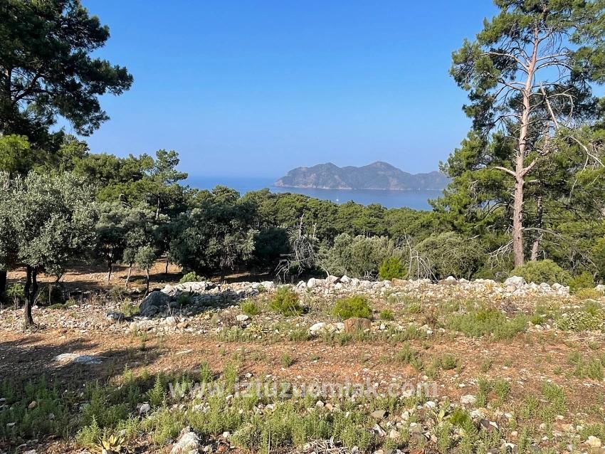 Ekincik Çandır Arasın'da Deniz Manzaralı Kelepir Emlak Satılık Arsa
