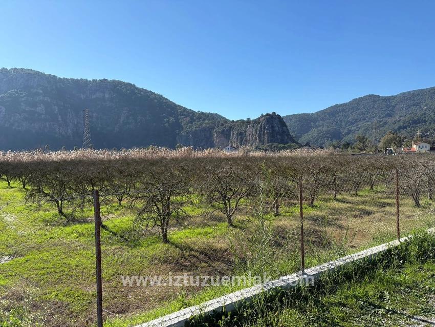 Dalyan'da Bağ Bahçe Olarak 5985m2 %5 İmarlı Satılık Arsa