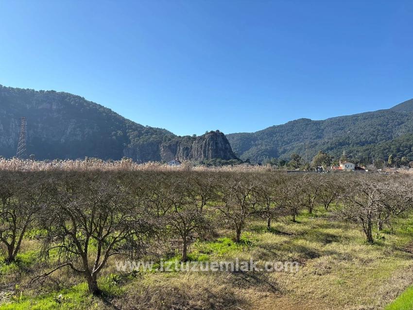 Dalyan'da Bağ Bahçe Olarak 5985m2 %5 İmarlı Satılık Arsa