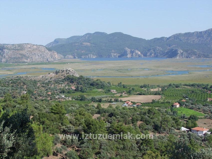 Köyceğiz Çandır'da 19.334m2 Satılık Tarla