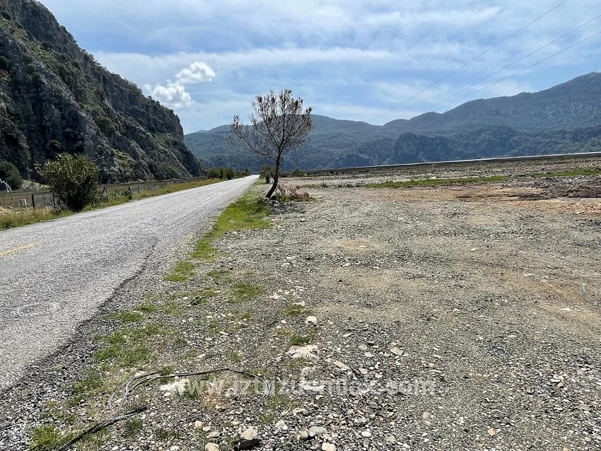 Dalyan İztuzu Plaj Yoluna Sıfır 19.600m2 Satılık Tarla