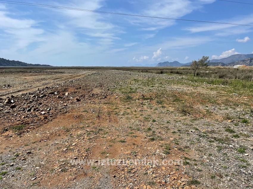 Dalyan İztuzu Plaj Yoluna Sıfır 19.600m2 Satılık Tarla
