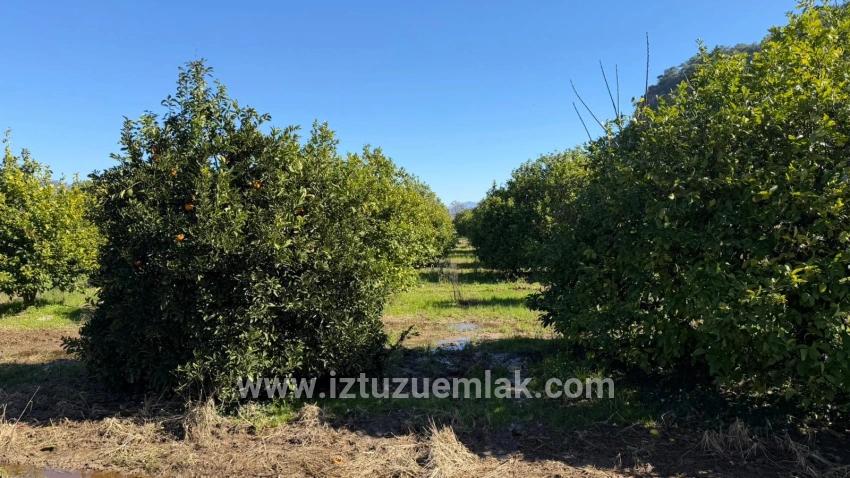 Okçular Marmarlı'da 2.218m2 Satılık Arsa
