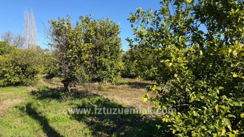 Okçular Marmarlı'da 2.218m2 Satılık Arsa