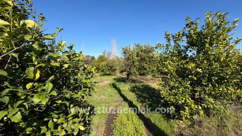 Okçular Marmarlı'da 2.218m2 Satılık Arsa