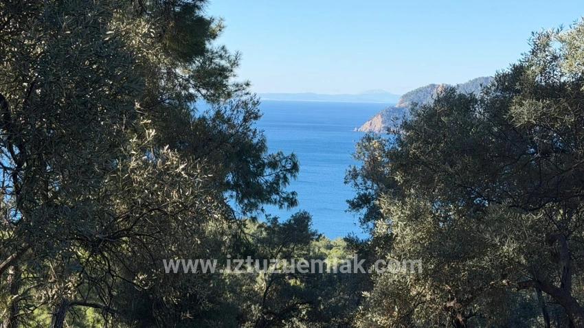 Çandır'da Full Deniz Manzaralı 5715m2 Satılık 2b Tarla