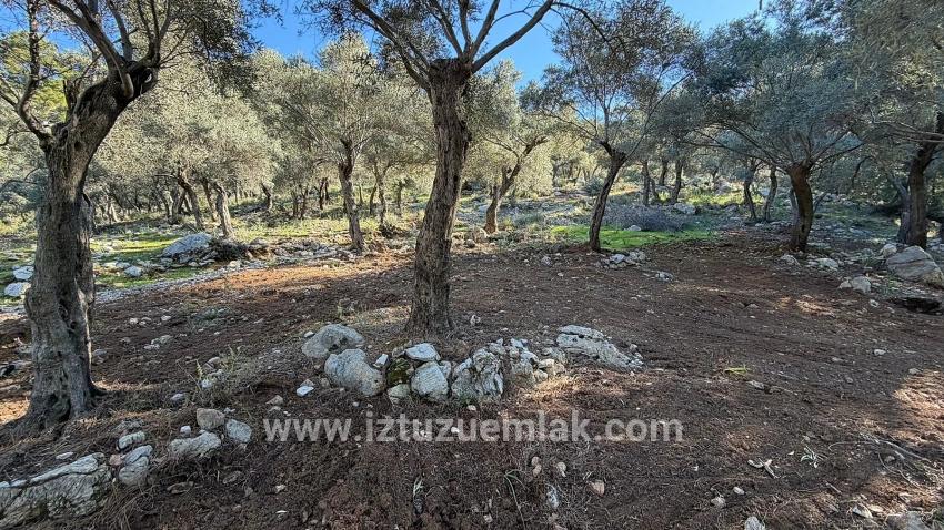 Çandır'da Full Deniz Manzaralı 5715m2 Satılık 2b Tarla