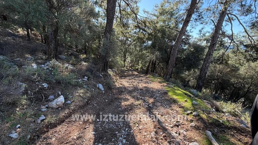 Çandır'da Full Deniz Manzaralı 5715m2 Satılık 2b Tarla