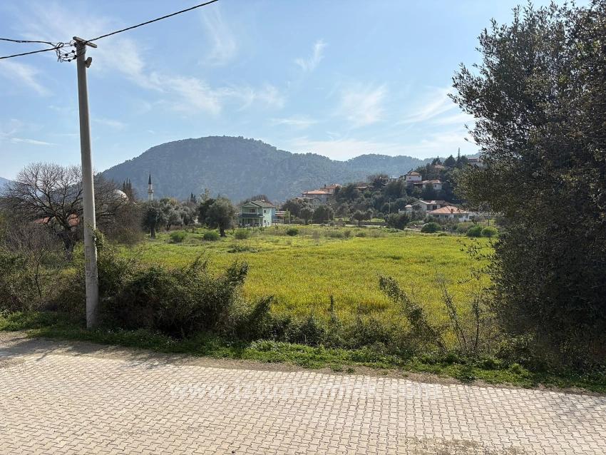 Köyceğiz Çandır Köyü'de Hisseli Rızai Taksimli 2.023m2 Satılık Tarla