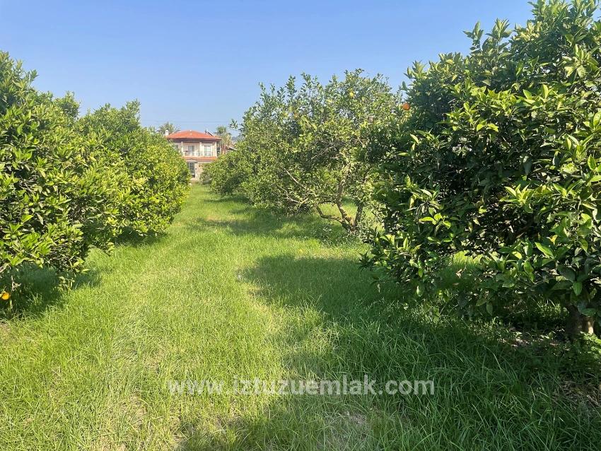 Dalyan Gülpınar'da 722m2 Satılık Arsa