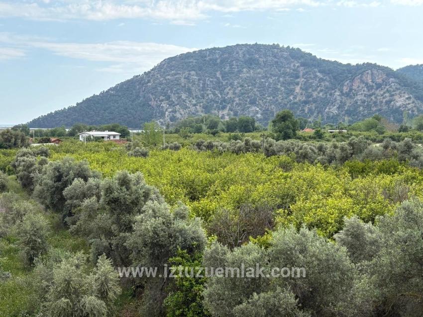 Çandır'da Deniz Ve Göl Manzaralı 1.721m2 Satılık Tarla