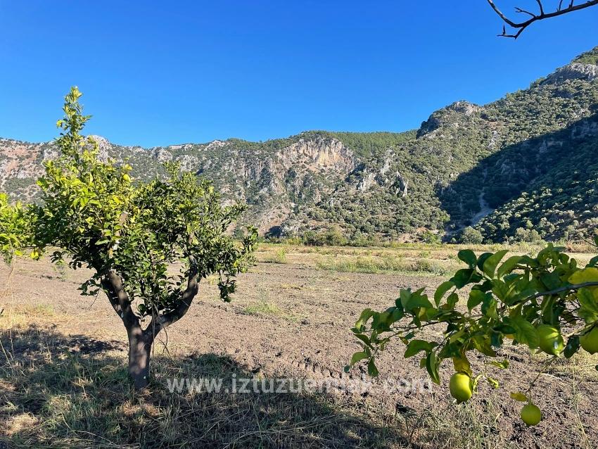 Dalyan'da Merkeze Yakın 6600m2 Satılık Tarla