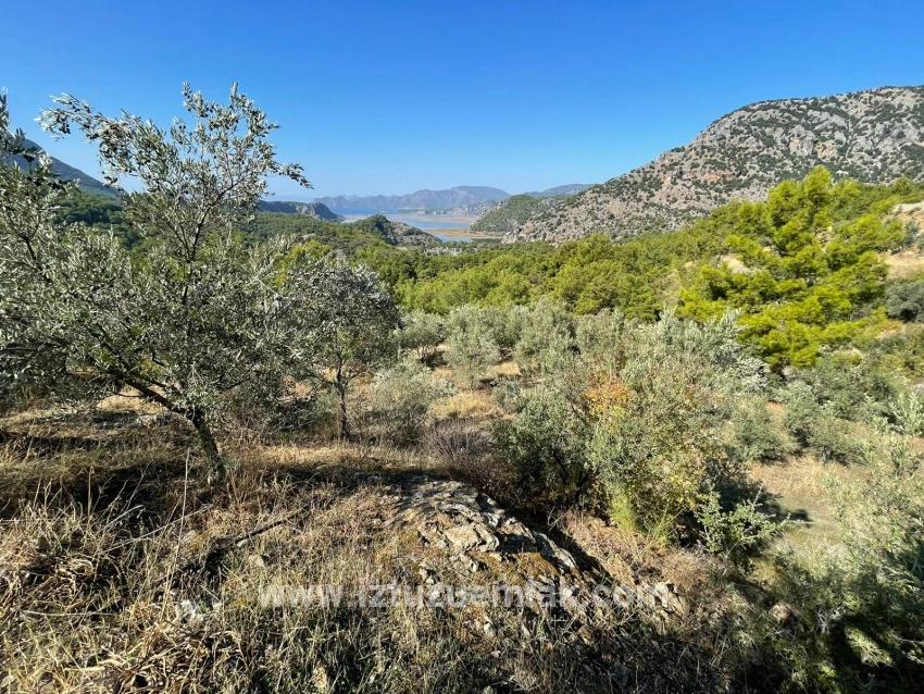 Gökbel'de Full Deniz Manzaralı 3514m2 Satılık Arsa