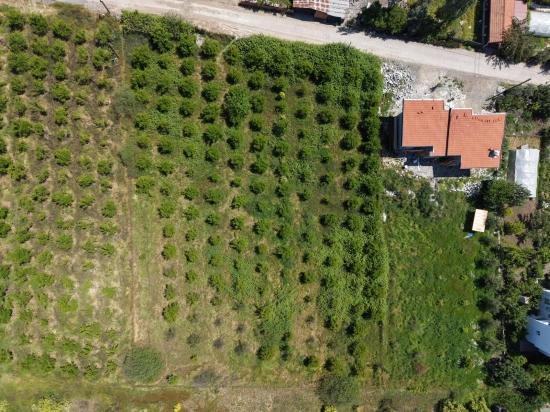 Okçular'da 1050m2 Köy Yerleşik Alanında Satılık Arsa