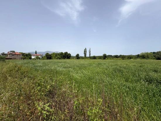 Okçular Marmarlı'da 2390m2 Satılık Arsa