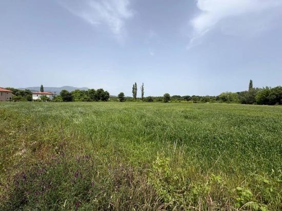 Okçular Marmarlı'da 2390m2 Satılık Arsa
