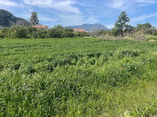 Okçular'da 736m2 Olan 250m2 İnşaat İzinli Satılık Arsa