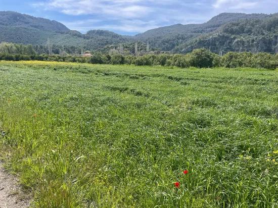 Okçular'da 736m2 Olan 250m2 İnşaat İzinli Satılık Arsa