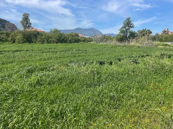 Okçular'da 736m2 Olan 250m2 İnşaat İzinli Satılık Arsa