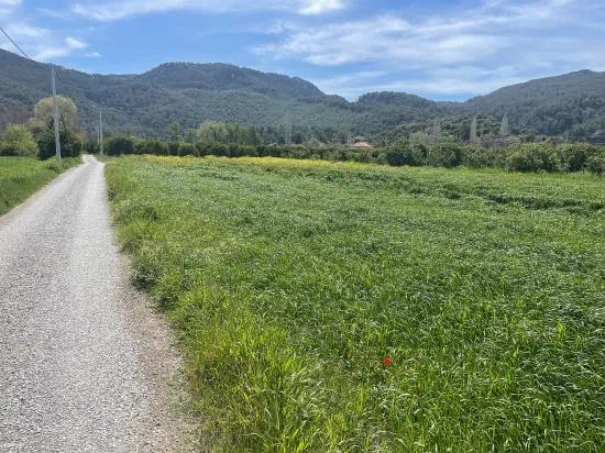 Okçular'da 736m2 Olan 250m2 İnşaat İzinli Satılık Arsa