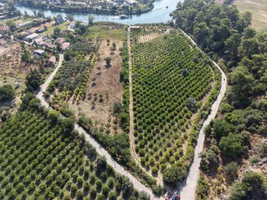 Köyceğiz Çandır Mahallesinde kanala sıfır 20.000m2 satılık tarla