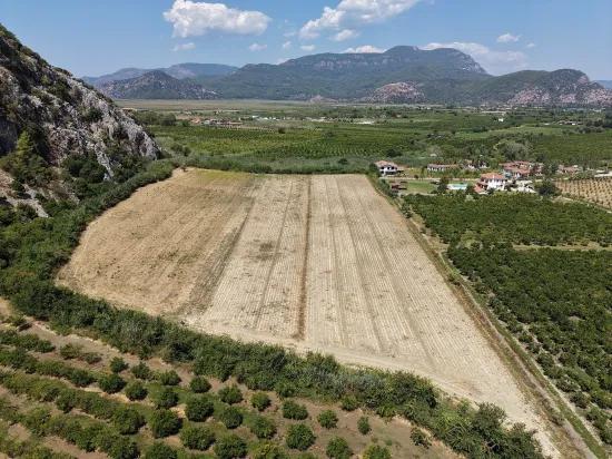 Dalyan'da 20.786m2 satılık tarla