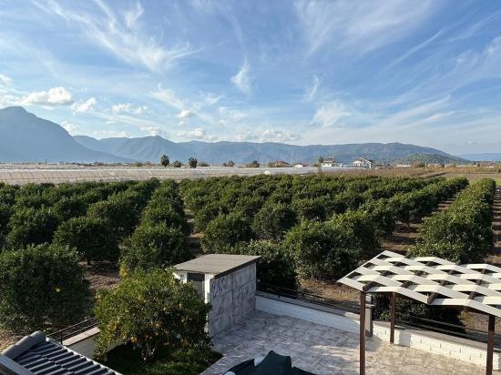 Eskiköy'de 14.136 M2 Tarla İçerisinde 4+1 Satılık Villa