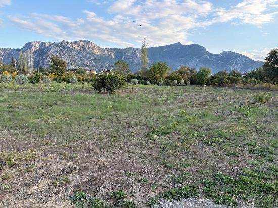 Dalyan'da 7.450m2 %5 İmarlı Satılık Arsa