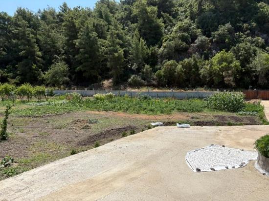 Dalyan Karadağ Mevkiinde 2500m2 Tarla İçerisinde 120m2 Müstakil Ahşap Ev
